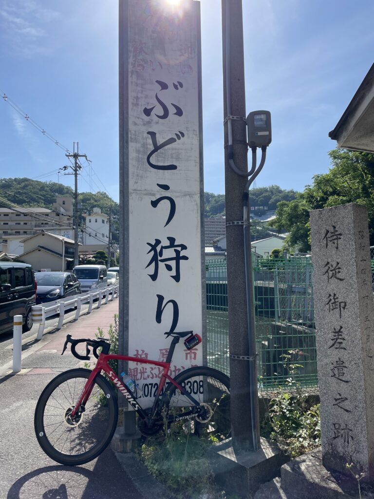 朝一輪行