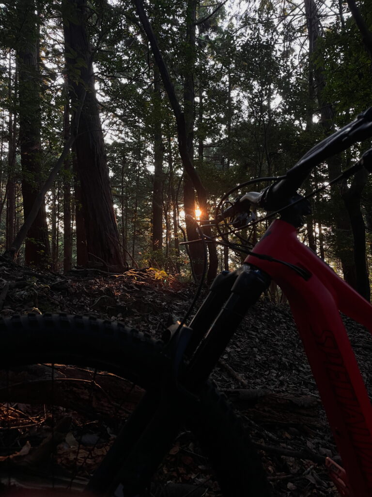 朝一お山お掃除ライド！