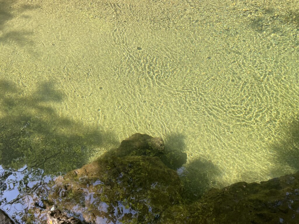 下見に